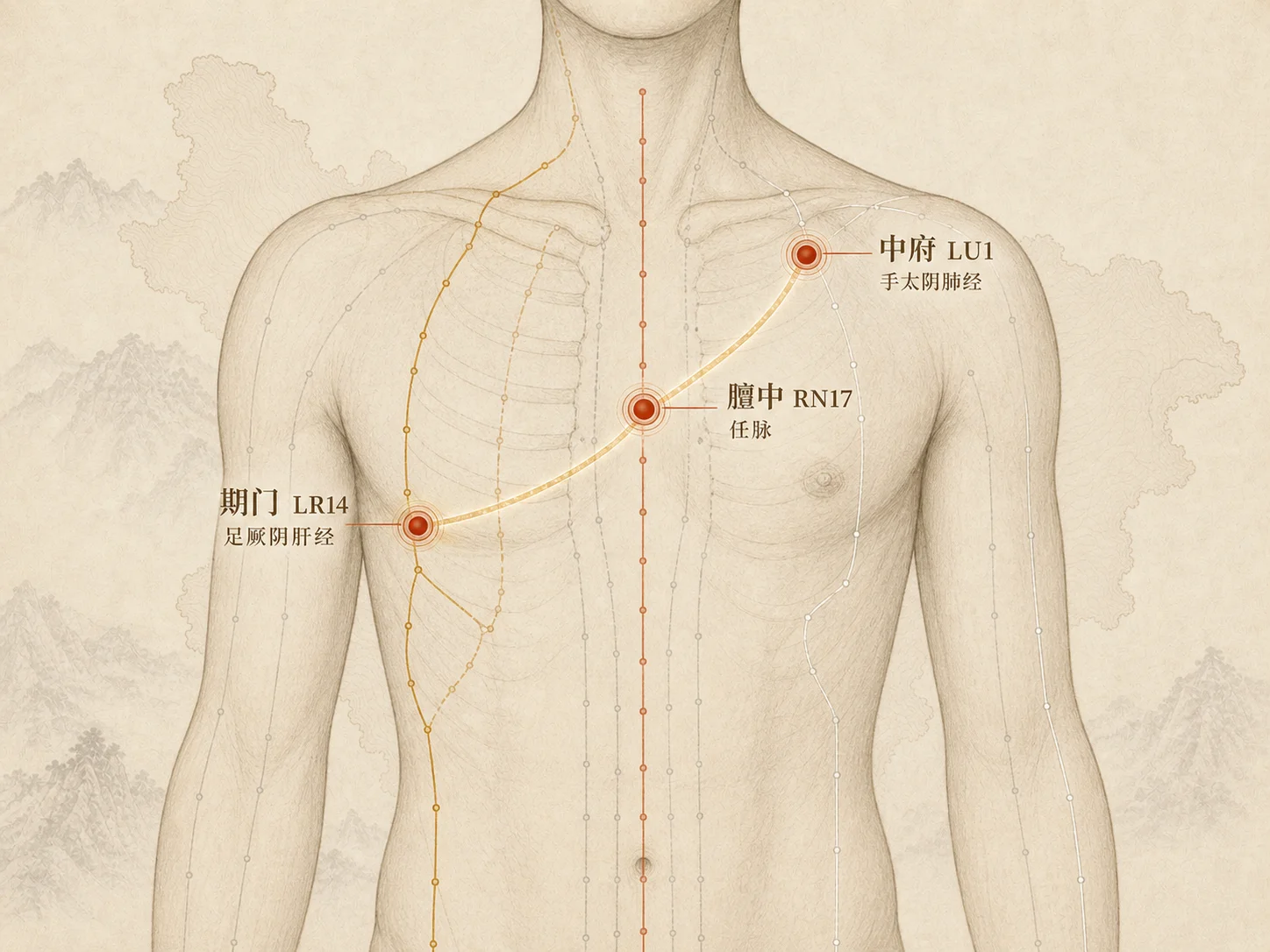 经络视图